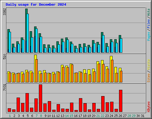 Daily usage for December 2024