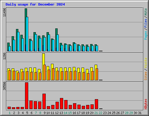 Daily usage for December 2024